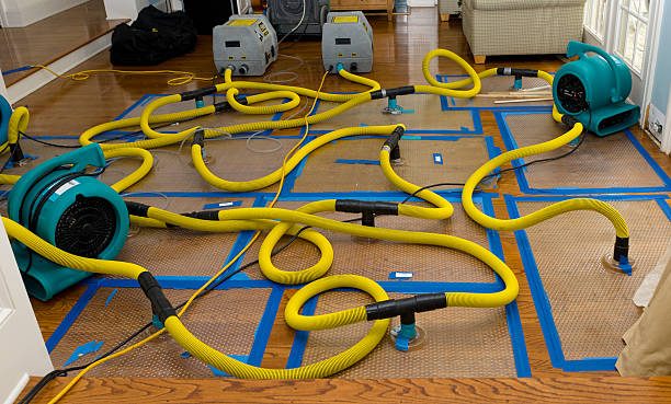 Professional Water Damage Repair technician working in Leawood, KS